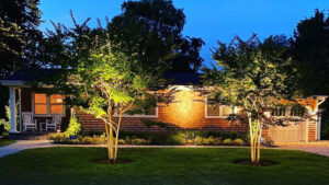 What is the Best Way to Use Landscape Lighting?