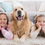 How To Keep House Smelling Good With Pets