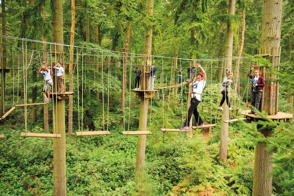 Go Ape at an Indoor Rainforest: An Unlikely Oasis Awaits